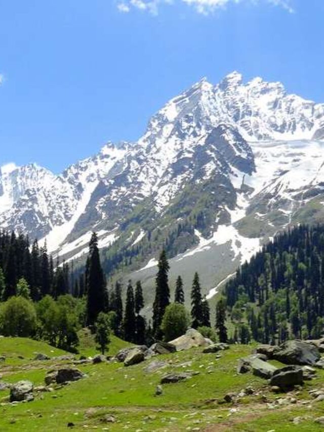 cropped-thajiwas-glacier-sonmarg2.jpg